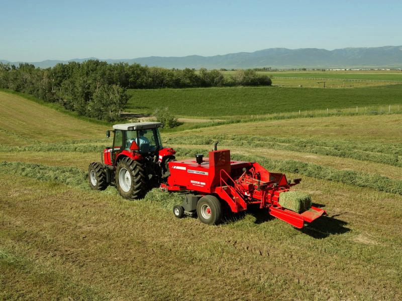MF 1843s